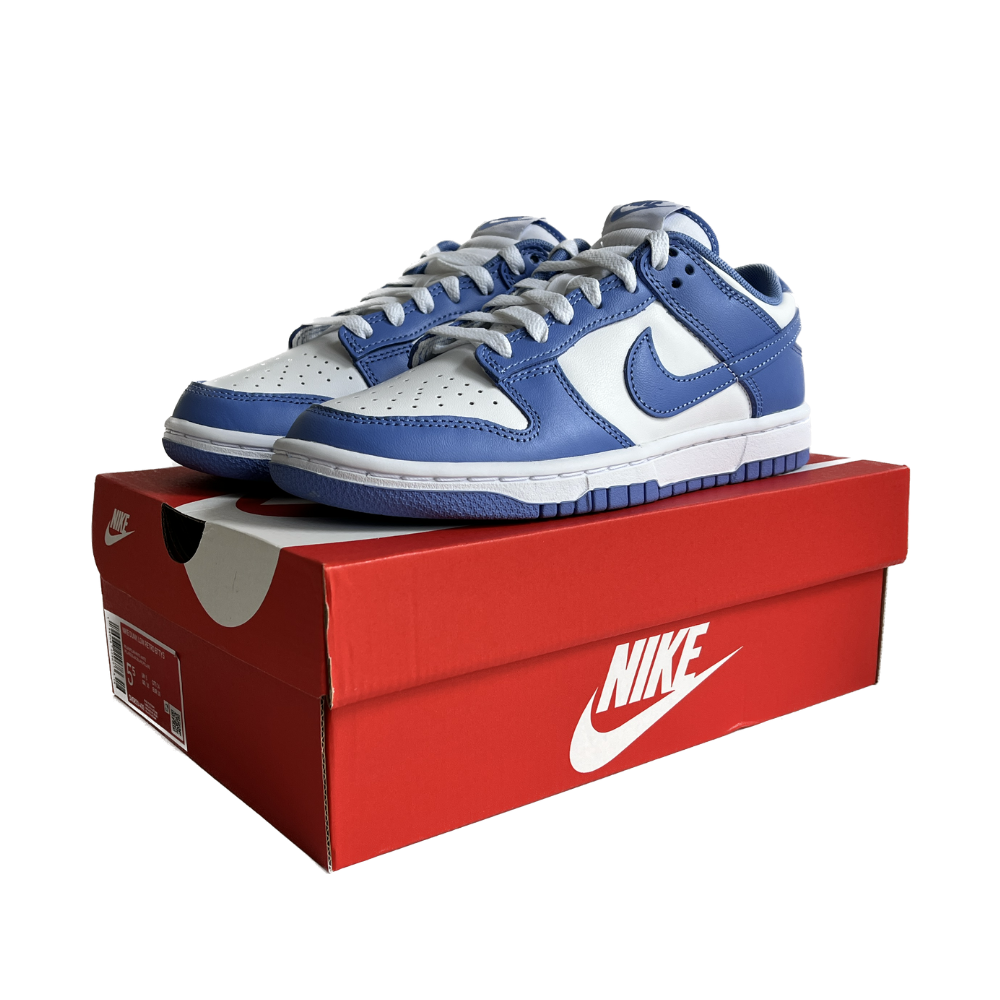 Nike Dunk Low Polar Blue - The Global Hype