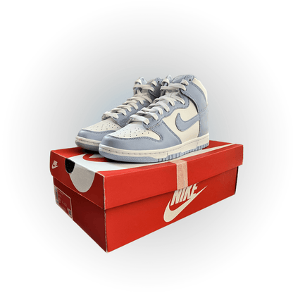 Nike Dunk High Aluminum - The Global Hype